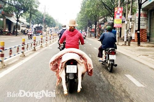 Chở thịt heo không đảm bảo an toàn thực phẩm