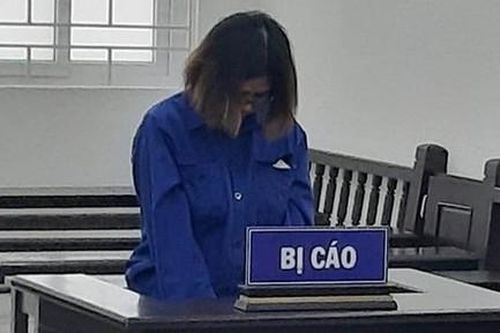 Lừa đảo cô ruột lấy hơn 4 tỷ đồng, bị phạt 16 năm tù