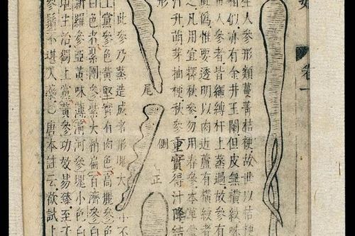 Lịch sử kỳ thú của các thử nghiệm lâm sàng