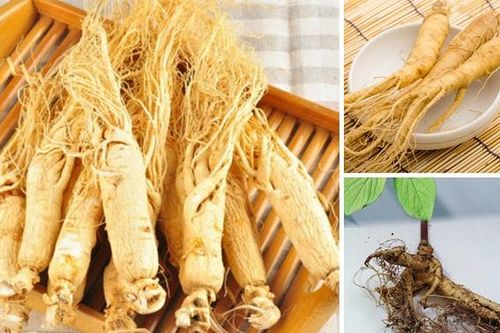 Bài thuốc bổ phế dưỡng tâm