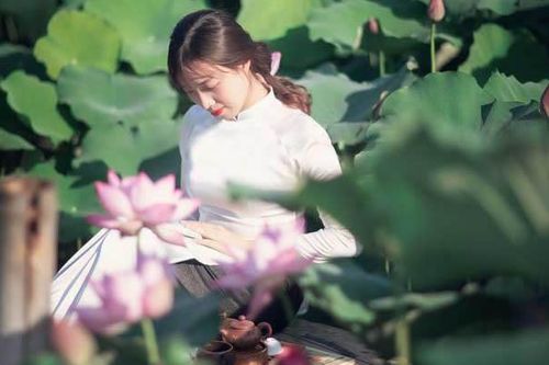 Hương sen