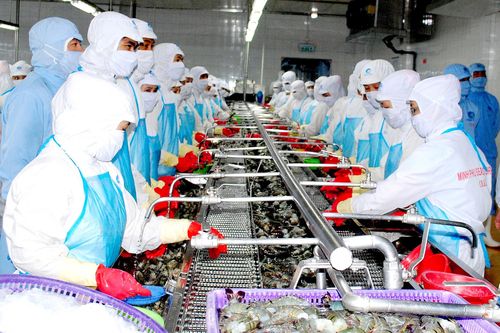 Triển vọng xuất khẩu tôm