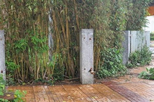 Cần xử lý nghiêm những hành vi phá hoại các công trình công cộng tại TP Bạc Liêu