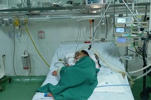 Đà Nẵng: Điều trị tích cực cứu bé trai 4 tuổi bị ong đốt hơn 80 mũi