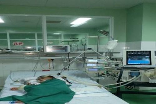 Bé trai 4 tuổi bị ong đốt hơn 80 mũi nguy kịch