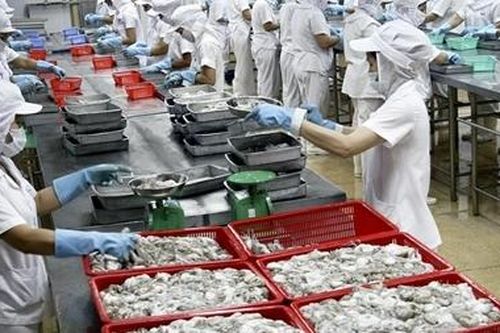 Bất cập khi doanh nghiệp chế biến thủy sản bị áp thuế thu nhập doanh nghiệp 20%