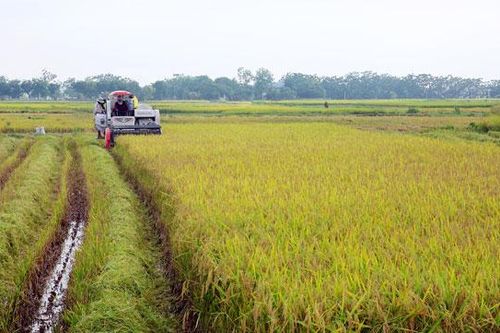 Bước chuyển cho xuất khẩu nông sản