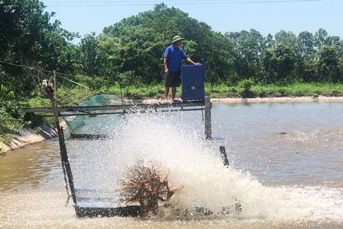 Nuôi trồng thủy sản ở Hà Nội: Phát triển bền vững theo hướng thâm canh