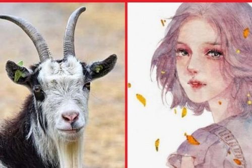 Sinh giờ hoàng kim này, chị em nào cũng an nhàn, về già phú quý
