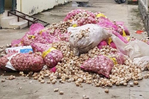 Đồng Tháp: Hàng trăm bao tỏi không rõ nguồn gốc xuất xứ bị vứt bỏ tại nhiều kênh, rạch