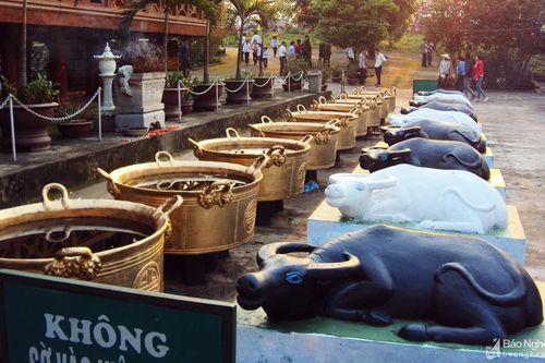 Người Thái Nghệ An và tín ngưỡng về con trâu