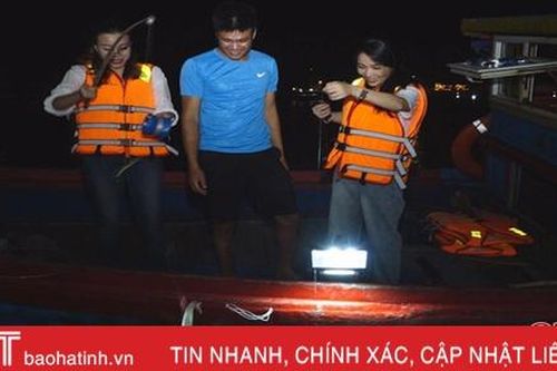 Dong thuyền câu mực đêm cùng ngư dân Hà Tĩnh