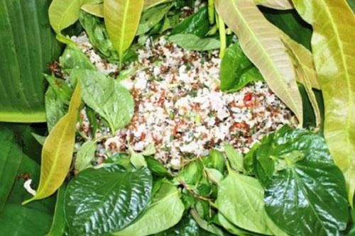 Độc đáo nghề săn kiến vàng ở Tây Nguyên