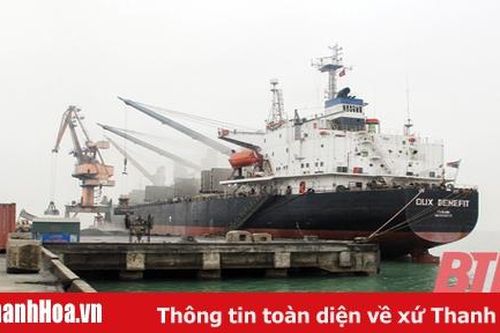 Chính sách mới ưu đãi cho các hãng tàu biển mở tuyến vận chuyển container đi quốc tế qua cảng Nghi Sơn