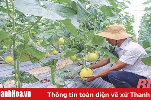 Chủ động ứng dụng khoa học công nghệ vào sản xuất và đời sống
