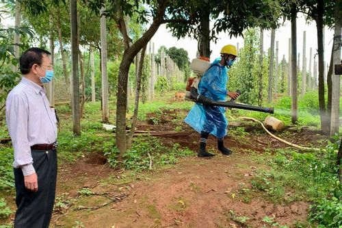 Gia Lai: Bệnh nhân bạch hầu đã tử vong