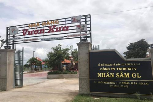 Sở Kế hoạch-Đầu tư Gia Lai: Yêu cầu gỡ tên Sở khỏi bảng hiệu công ty