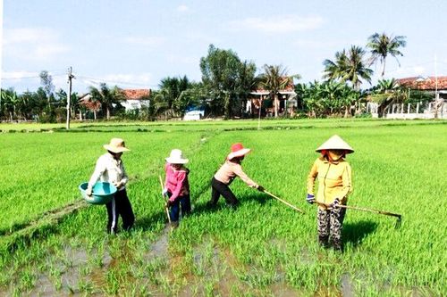 Phụ nữ chung tay xây dựng nông thôn mới