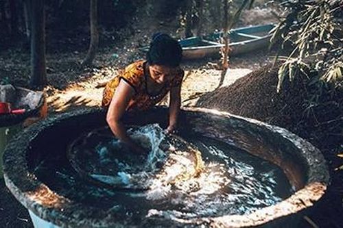 Mùa hến về bên bến sông quê