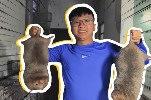 Khởi nghiệp nuôi dúi, thanh niên 22 tuổi trở thành triệu phú