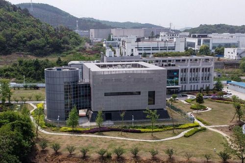 Sunday Times: Virus gần giống Covid-19 được gửi tới Vũ Hán năm 2013