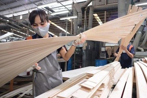 Nhận diện 3 rủi ro trong phát triển ngành gỗ dán sau dịch Covid-19