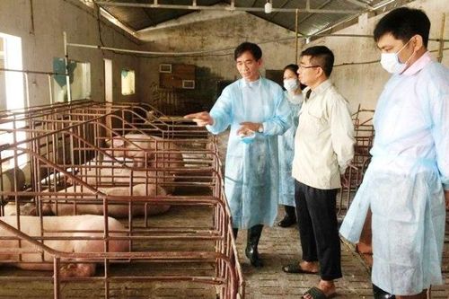 Bộ NN&PTNT đề xuất tiếp tục giám sát việc thực thi chính sách, pháp luật về thú y