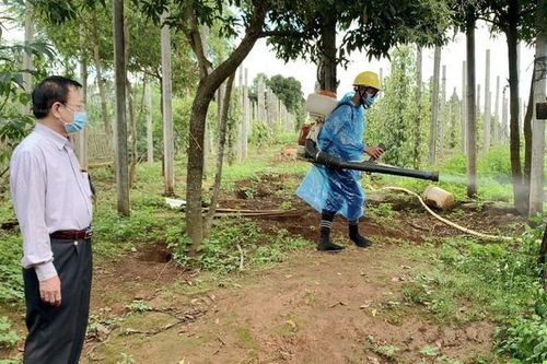 Toàn bộ học sinh của 1 xã phải nghỉ học vì dịch bạch hầu lây lan