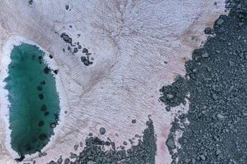Lý giải hiện tượng 'tuyết hồng' trên dãy Alps