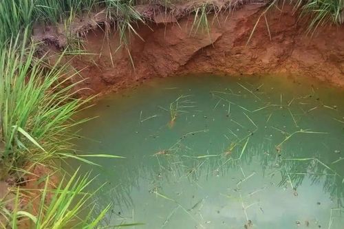 Sụt lún đất tại Cam Lộ ngày càng khó lường