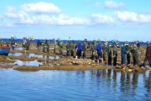 Gần 300 đoàn viên, thanh niên tham gia đắp đê chắn sóng tại Quảng Ngãi