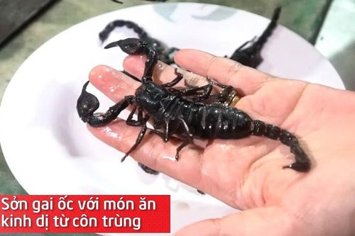 Sởn gai ốc với món ăn kinh dị từ côn trùng