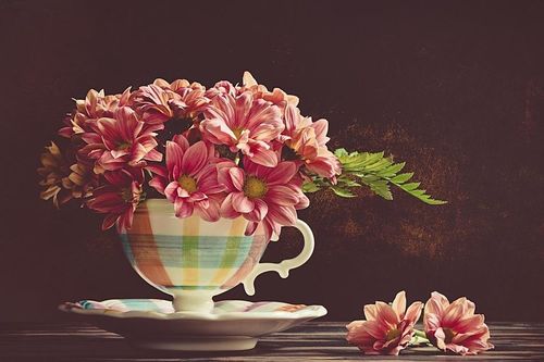Tử vi thứ Ba ngày 7/7/2020 của 12 cung hoàng đạo