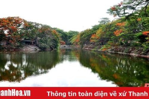 Những 'lá phổi xanh' giữa lòng TP Thanh Hóa