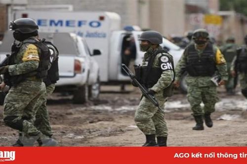 Mexico bắt giữ nhiều nghi phạm trong vụ xả súng đẫm máu