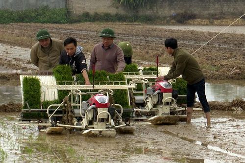 Sức bật từ phong trào xây dựng nông thôn mới