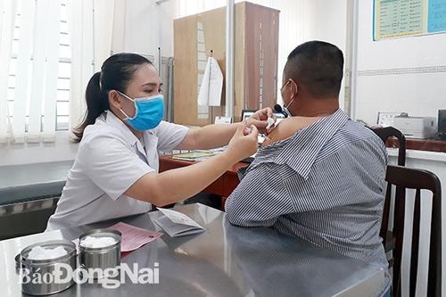 Không chủ quan với bệnh dại