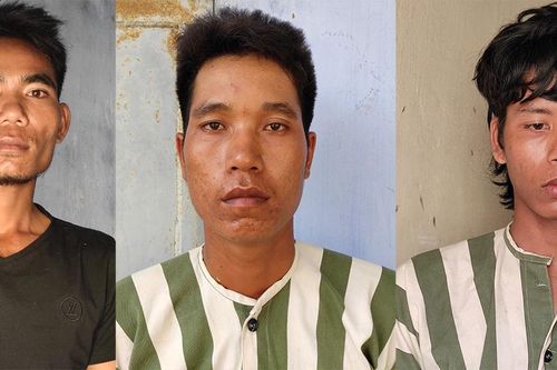 Khởi tố 3 đối tượng trộm cắp bò ở Ayun Pa