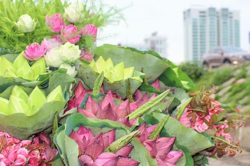 Thời tiết 6-7: Bắc bộ bước vào đợt nắng nóng mới