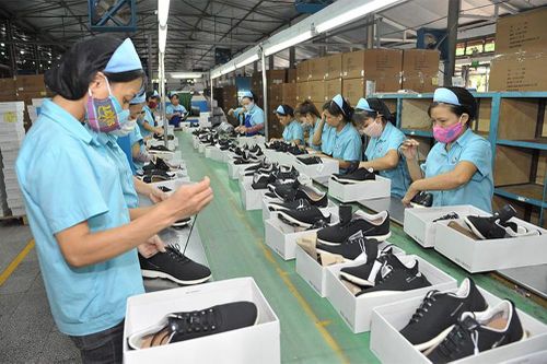 Giao thương trực tuyến hàng thể thao Việt Nam - Hà Lan