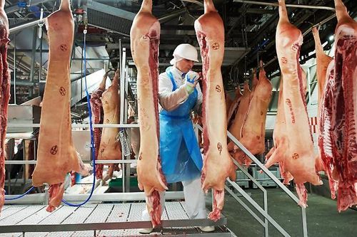 Châu Âu tiếp tục phát hiện nhiều ca lây nhiễm COVID-19 từ ổ dịch lò mổ