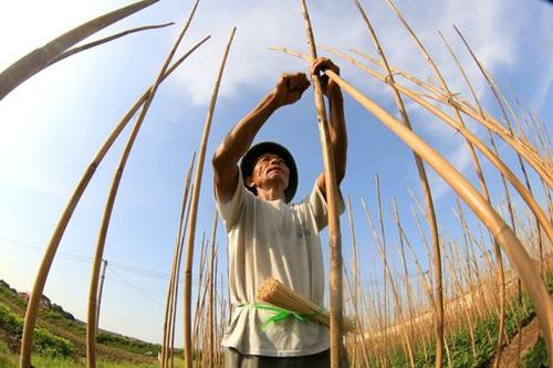 Người lao động nhọc nhằn mưu sinh giữa nắng nóng