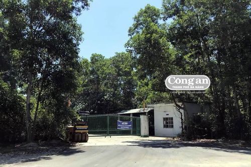 'Nín thở' với nhà máy chế biến bột cá