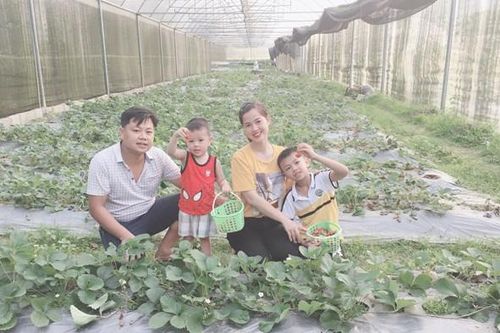Nghỉ việc ở ngân hàng, chàng trai Hà Giang thành công từ hoa hồng