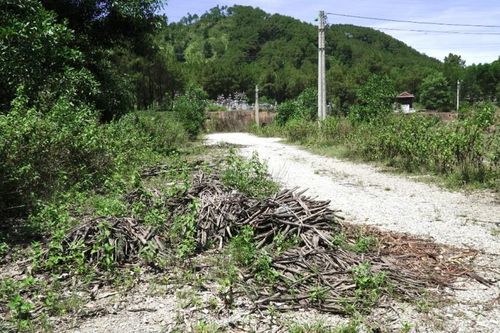 TT-Huế: Phế liệu 'mắc cạn' giữa khu dân cư, tỉnh phải xin ý kiến Bộ TNMT?