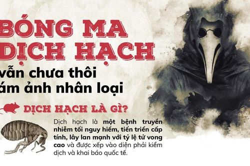 'Bóng ma' dịch hạch ám ảnh nhân loại