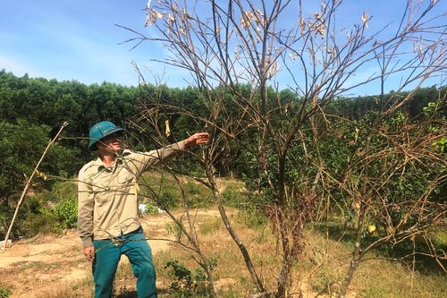 Từ ngày 7-16/7, nhiều khu vực ngày nắng, chiều tối và đêm có mưa dông