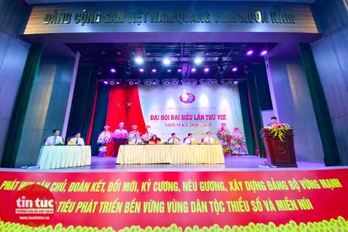 Đại hội đại biểu Đảng bộ Ủy ban Dân tộc lần thứ VIII nhiệm kỳ 2020-2025