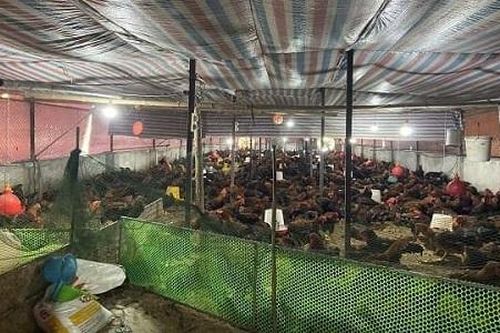 Cẩm Giàng - Hải Dương: Người dân 'khóc ròng' vì điện