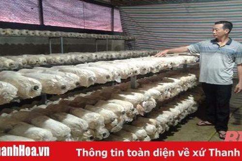 Đảng bộ xã Ninh Khang phát huy vai trò lãnh đạo của Đảng trong phát triển kinh tế - xã hội